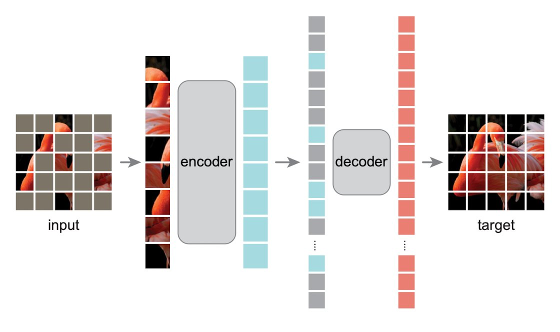 A masked autoencoder reconstructing masked image patches