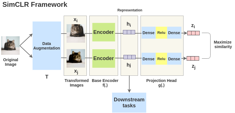 The SimCLR framework, which learns similar representations for augmented views of an image