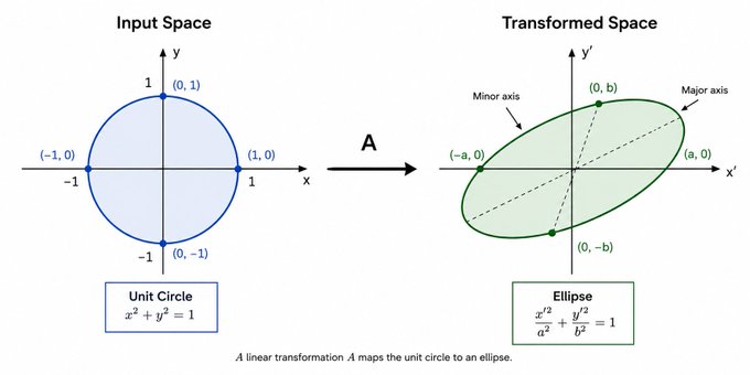 A unit circle transformed by a matrix into an ellipse